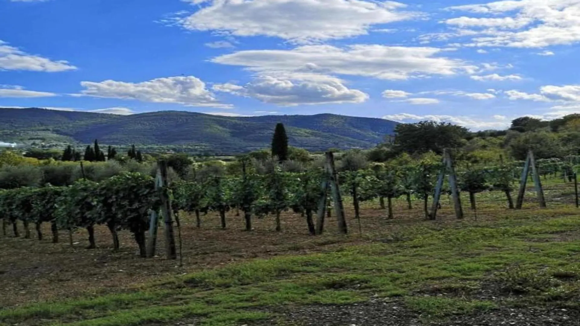 بيت للعطل Spacious Farmhouse In Castiglion Fiorentino With Garden