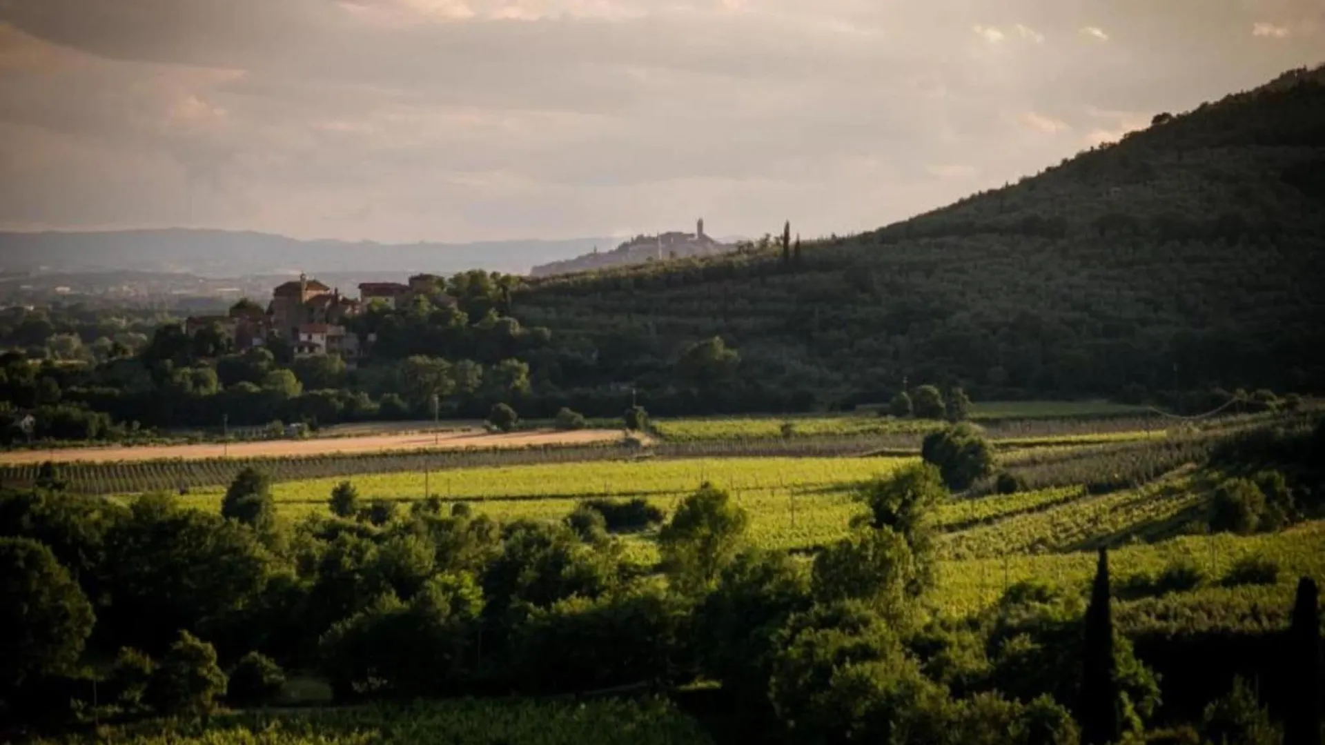 Spacious Farmhouse In Castiglion Fiorentino With Garden إيطاليا